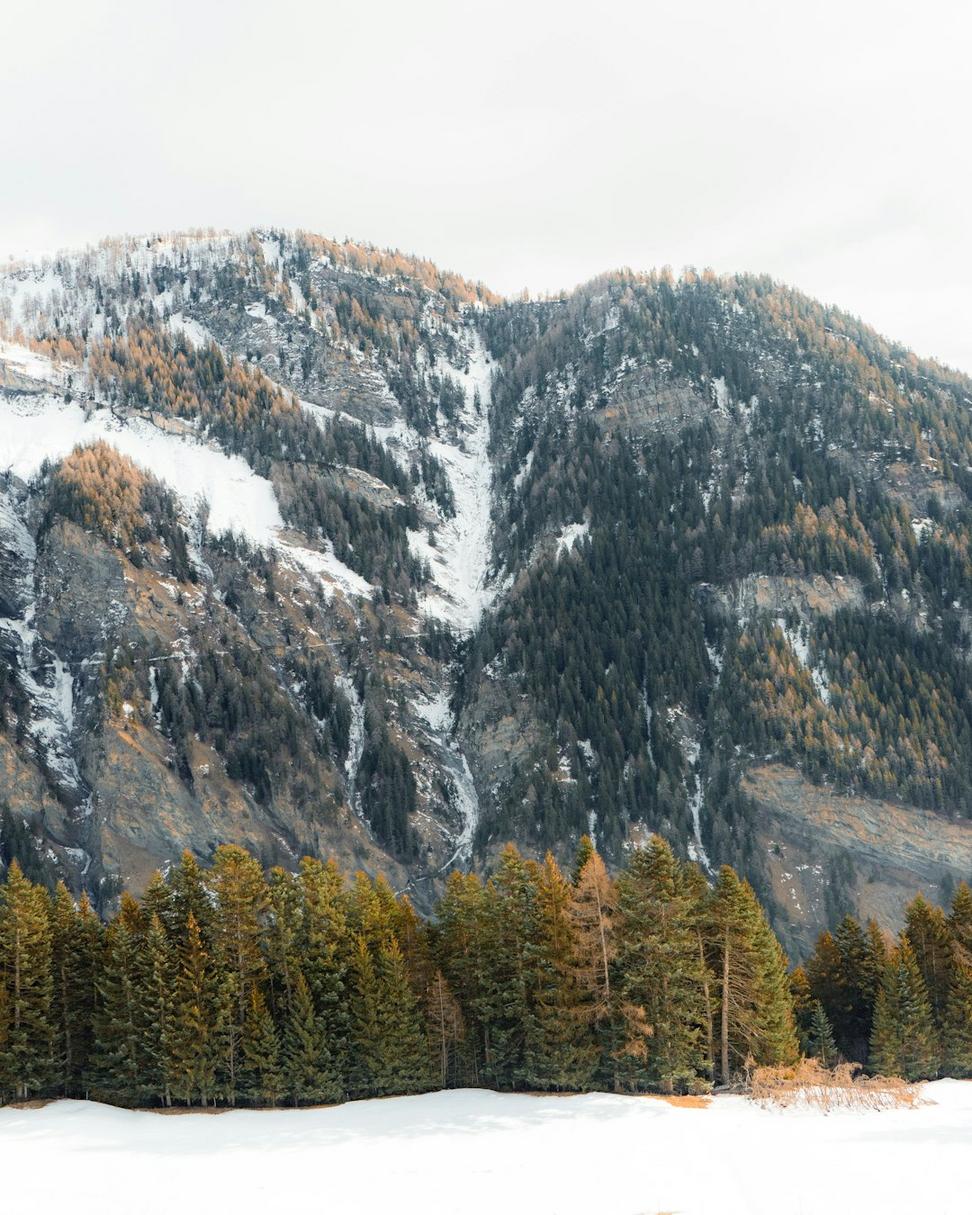Okanagan Lakeside Retreat